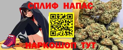 МДПВ Будённовск