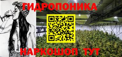 МДПВ Будённовск